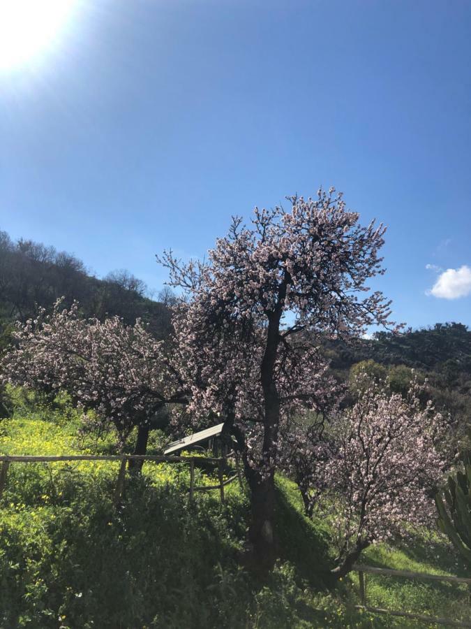 Villa Rica 파티 외부 사진
